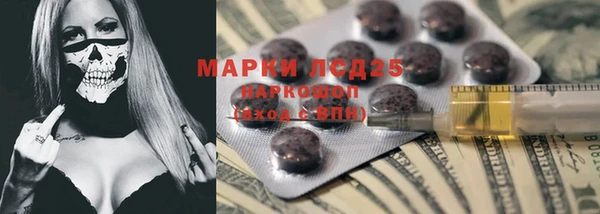 трава Коряжма
