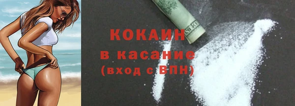 трава Коряжма