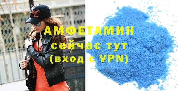 трава Коряжма