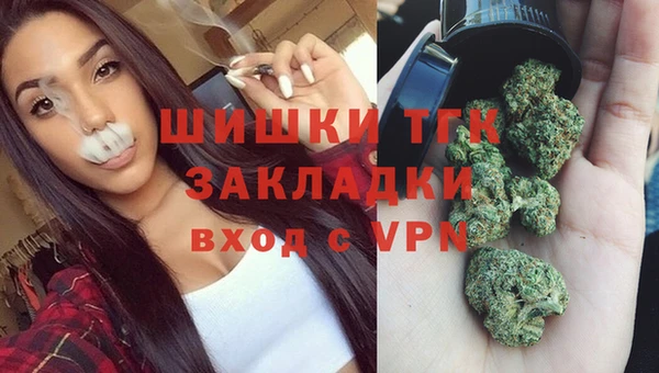 трава Коряжма