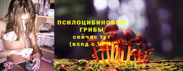 mix Костерёво