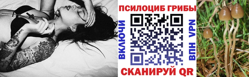 хочу   Ворсма  Галлюциногенные грибы мухоморы 